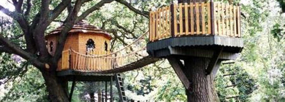 Tree Houses in India