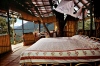 Wild Canopy Reserve