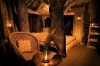 Wild Canopy Reserve