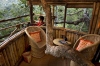 Wild Canopy Reserve