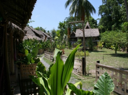 The Wild Orchid