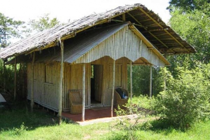 Jungle Retreat