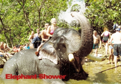 Jungle Book