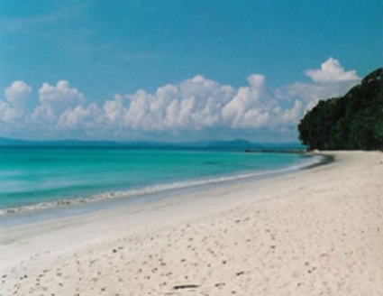 Barefoot Havelock Resort