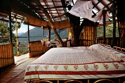 Wild Canopy Reserve