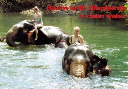 Jungle Book