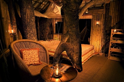 Wild Canopy Reserve